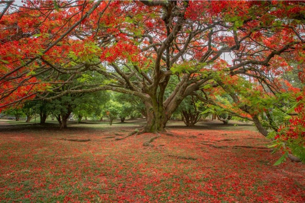 Suites Privativas Vila De Sao Jorge - Chapada Dos Veadeiros Exteriör bild